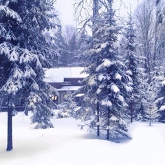 Загородный комплекс Чукавино, Старицкий район, Тверская область