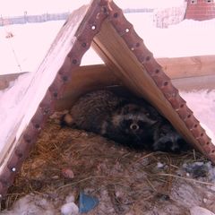 Гостиничный комплекс Усадьба, Муромский район, Владимирская область