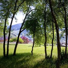 Оздоровительный комплекс Басаргино, Алтайский район, Алтайский край