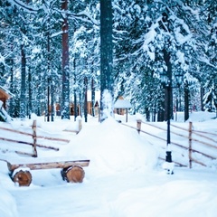Загородный комплекс Большая Медведица, Медвежьегорский район, Республика Карелия