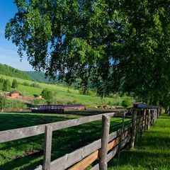 Оздоровительный комплекс Басаргино, Алтайский район, Алтайский край