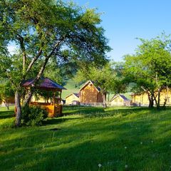 Оздоровительный комплекс Басаргино, Алтайский район, Алтайский край