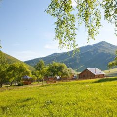 Оздоровительный комплекс Басаргино, Алтайский район, Алтайский край