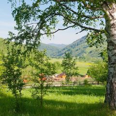 Оздоровительный комплекс Басаргино, Алтайский район, Алтайский край