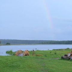 Турбаза Здешево, Вышний Волочек, Тверская область