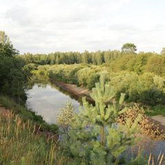 Усадьба Родное, Крестецкий район, Новгородская область