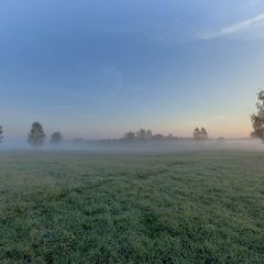 Усадьба Родное, Крестецкий район, Новгородская область