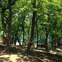 База отдыха Земноморье, Хасанский район, Приморский край