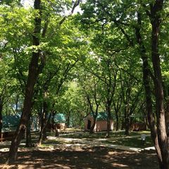 База отдыха Земноморье, Хасанский район, Приморский край