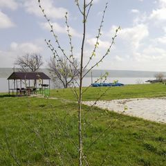 База отдыха Голубая волна, Шпаковский район, Ставропольский край