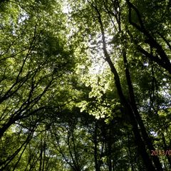 Гостевой дом Нахаленок, Мостовский район, Краснодарский край