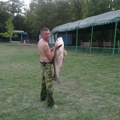 База отдыха Голубая волна, Шпаковский район, Ставропольский край