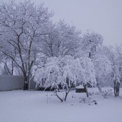 Гостевой дом Нахаленок, Мостовский район, Краснодарский край