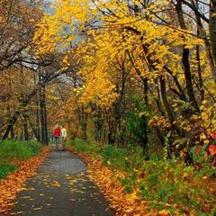 Парк-отель Парад, Томск, Томская область