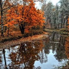 Парк-отель Парад, Томск, Томская область