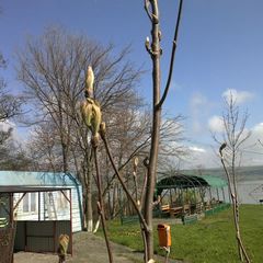 База отдыха Голубая волна, Шпаковский район, Ставропольский край