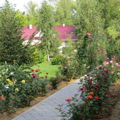 Загородный клуб Осинки, Среднеахтубинский район, Волгоградская область