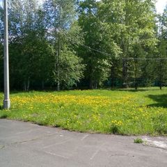 База отдыха Лосенок, Усть-Илимский район, Иркутская область