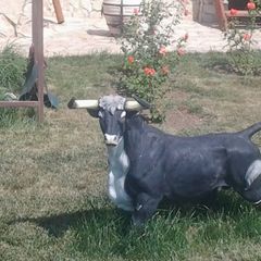 База отдыха Каштан, Энгельсский район, Саратовская область