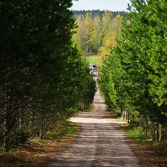 База отдыха Бородинское, Выборгский район, Ленинградская область