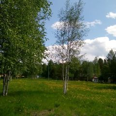 База отдыха Лосенок, Усть-Илимский район, Иркутская область