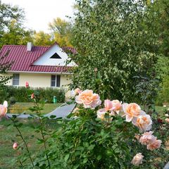 Загородный клуб Осинки, Среднеахтубинский район, Волгоградская область