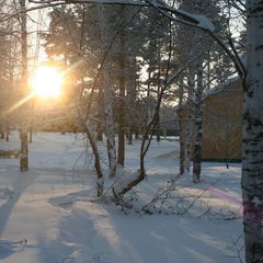 База отдыха Лосенок, Усть-Илимский район, Иркутская область