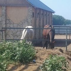 База отдыха Каштан, Энгельсский район, Саратовская область