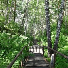 Туристический комплекс Сибирский Виноград, Кожевниковский район, Томская область