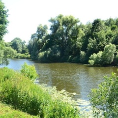 Турбаза Мечта. Берег приключений, Ленинский район, Московская область