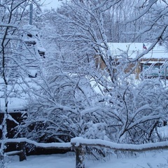 Турбаза Мечта. Берег приключений, Ленинский район, Московская область