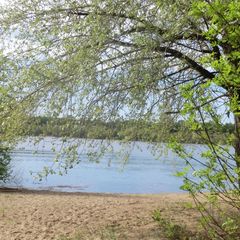 Турбаза Дубовая Грива, Саратовская область