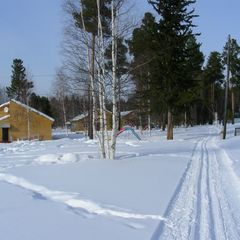База отдыха Лосенок, Усть-Илимский район, Иркутская область