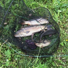 База отдыха Урочище Щукино, Износковский район, Калужская область