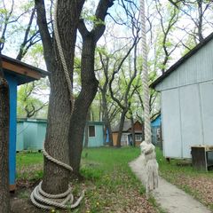 Турбаза Дубовая Грива, Саратовская область