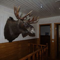 База отдыха El Rancho, Переславский район, Ярославская область
