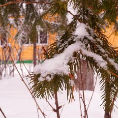 База отдыха Лосенок, Усть-Илимский район, Иркутская область