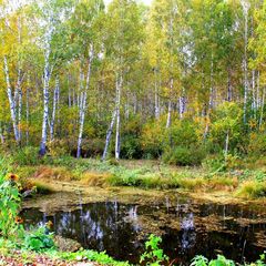 Туристическая база Айленд Релакс, Суксунский район, Пермский край