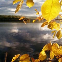 База отдыха Лосенок, Усть-Илимский район, Иркутская область