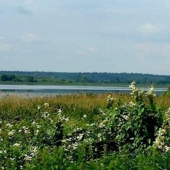 Эко-комплекс Ваньково, Можайский район, Московская область