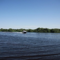 База отдыха Капитан, Шимский район, Новгородская область