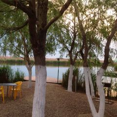 Рыболовная база Азовские плавни, Славянский район, Краснодарский край