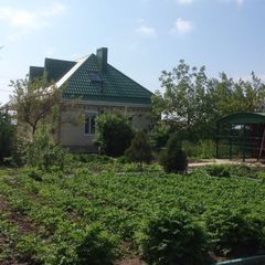 Рыболовная база Азовские плавни, Славянский район, Краснодарский край