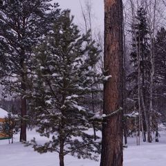 База отдыха Лосенок, Усть-Илимский район, Иркутская область