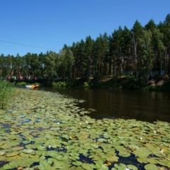 База отдыха Галдым, Тамбовский район, Тамбовская область