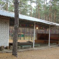 Оздоровительный комплекс Звездный, Спасский район, Рязанская область