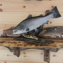 Турбаза Оленья, Кольский район, Мурманская область