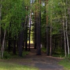 База отдыха Лосенок, Усть-Илимский район, Иркутская область