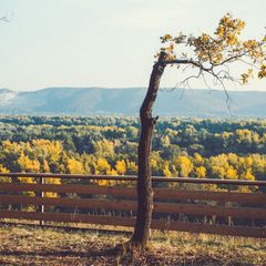 База отдыха Мастрюки, Красноярский район, Самарская область