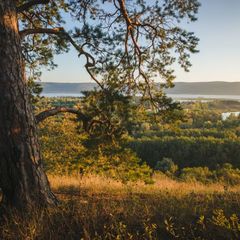 База отдыха Мастрюки, Красноярский район, Самарская область